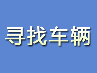 宣汉寻找车辆