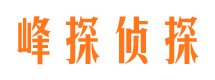 宣汉市调查公司